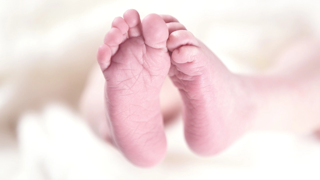 Bebé prematuro, Imagen de Rainer Maiores en Pixabay 