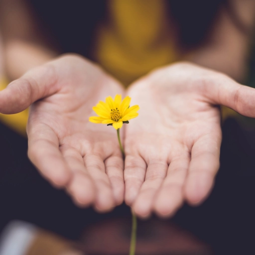 Mindfulness ,Foto de Lina Trochez en Unsplash