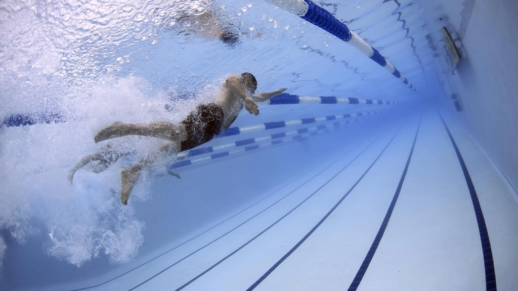 nadadores, natación, piscina, Pixabay