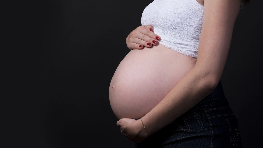 embarazada, m, mamá, Pixabay