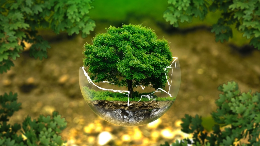 protección del medio ambiente, reserva natural, ecología, Pixabay