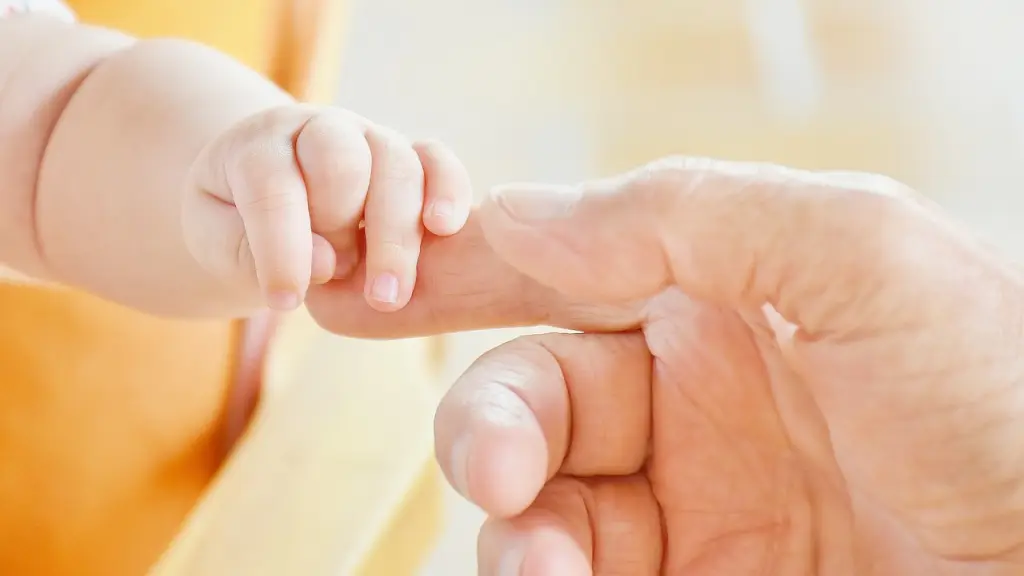 bebé, las manos, dedos, Pixabay