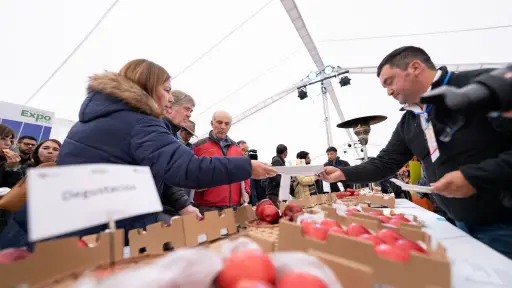 Investigadores desarrollarán nuevas variedades de manzanas y peras resistentes a climas cálidos