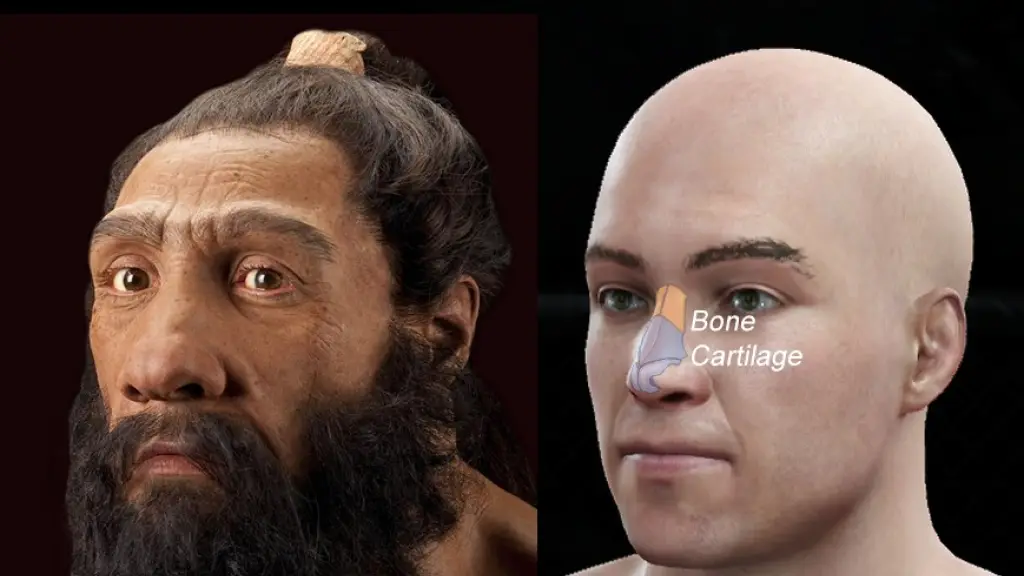 Genes de Neandertales, Internet
