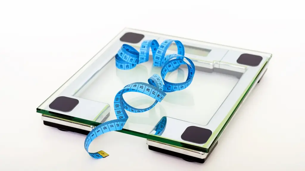 escala, dieta, gordo, Pixabay
