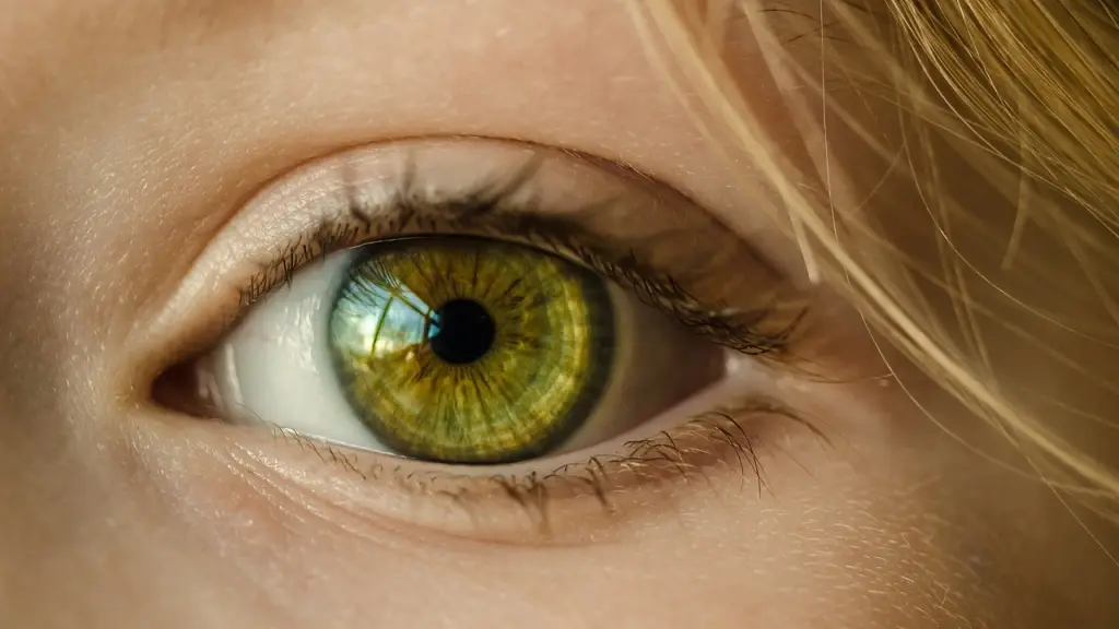 ojo, iris, mira, Pixabay