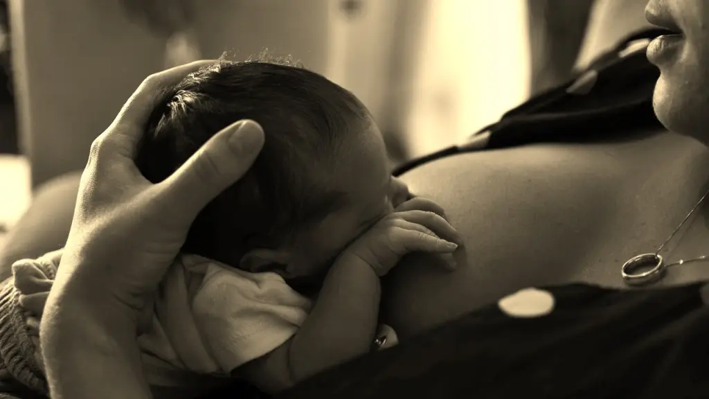 amamantamiento, bebé que amamanta, lactancia recién nacido, Pixabay