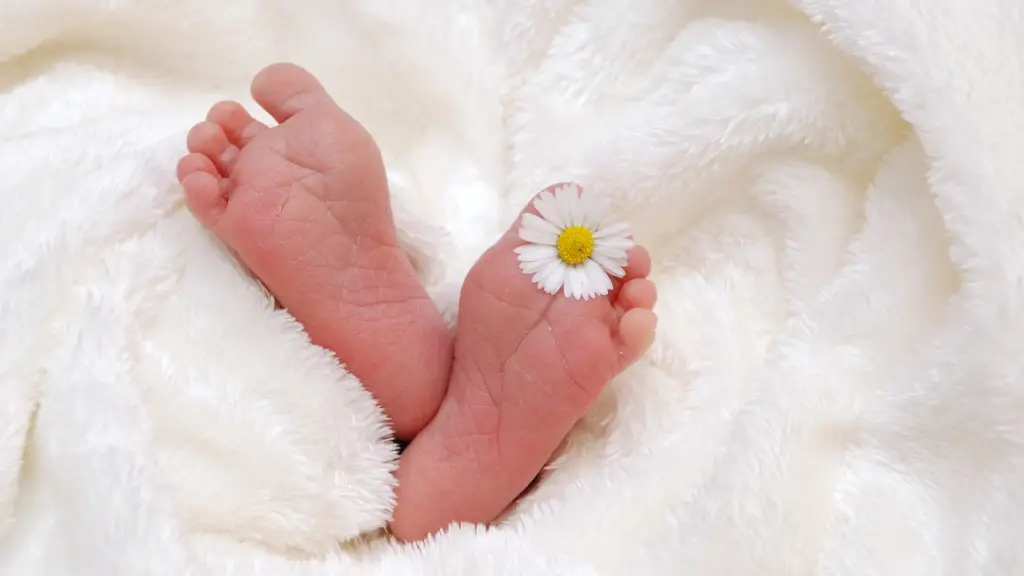 pies, bebé, nacimiento, Pixabay