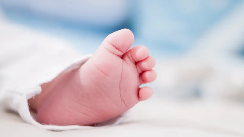 Tamizaje neonatal: ¿cómo una prueba de talón puede cambiar la vida de los niños con AME?, Internet