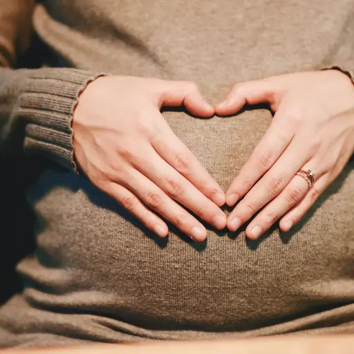 embarazada, mujer, maternidad ,Pixabay