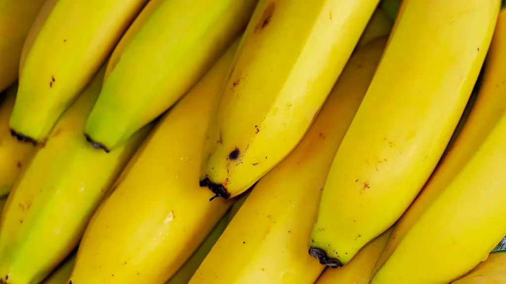 plátanos, frutas tropicales, fruta, Pixabay