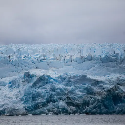 Fenómenos ambientales que preocupan ,Greenpeace