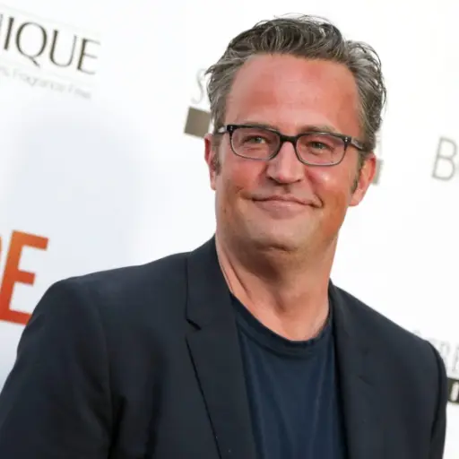 Matthew Perry ,Internet