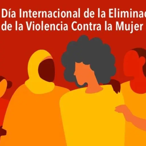 Día Internacional de la Eliminación de la Violencia contra la Mujer ,sachile.cl