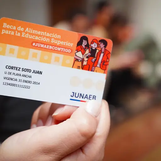 Beca de Alimentación ,Junaeb