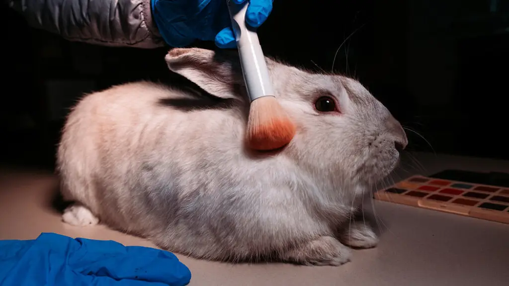 Testeo de cosméticos en animales, Bionoticias