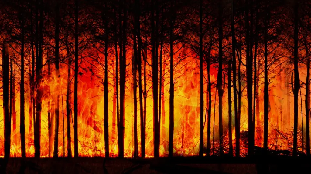 incendio forestal, bosque, cambio climático, Pixabay
