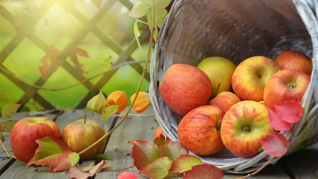 manzanas, sale de, otoño, Pixabay