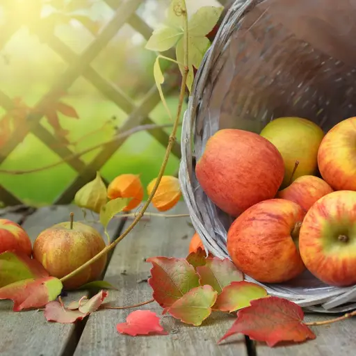 manzanas, sale de, otoño ,Pixabay