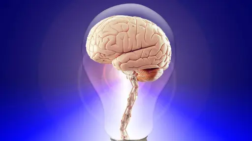 cerebro, pensar, humano ,Pixabay