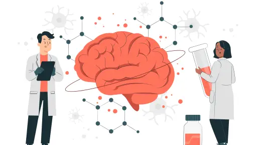 Alimentos para el cerebro: potencia tu mente de forma natural