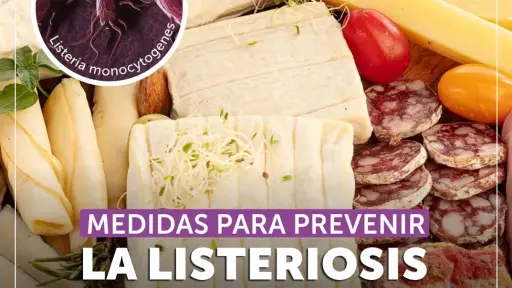 Alerta de salud en Chile: Riesgo de Listeria en alimentos pone en peligro a grupos vulnerables