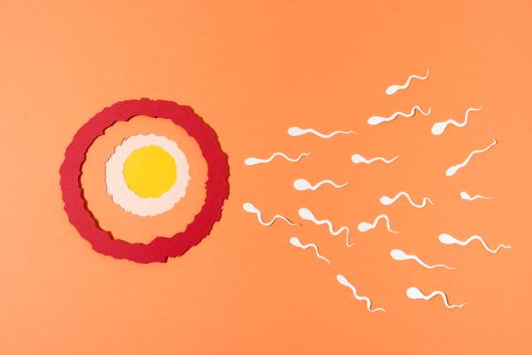 ¿Es hora de un análisis de semen? Descubre cuándo y por qué este test puede cambiar tu vida reproductiva
