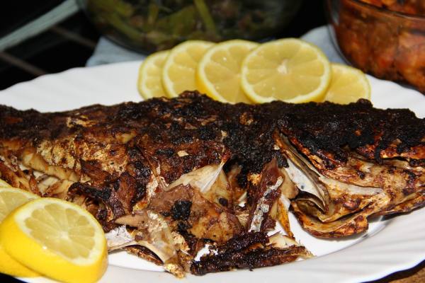 Riesgos ocultos: ¿Cómo el consumo de alimentos quemados puede afectar gravemente tu salud?