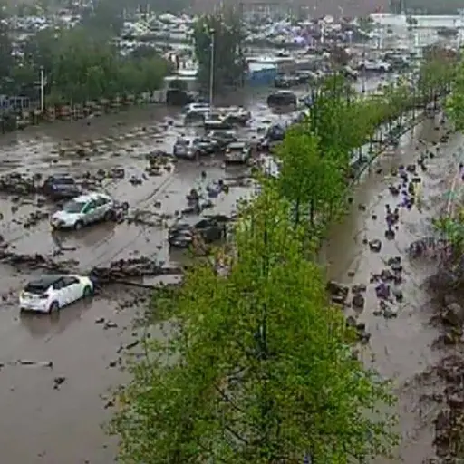 Aluvión San Carlos ,Prensa