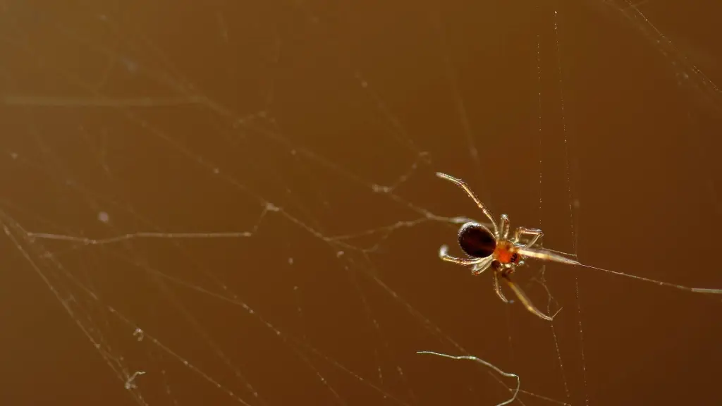 Araña de rincón, Prensa
